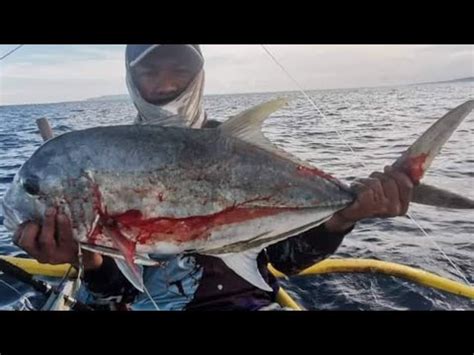 Ep 2 jigging l Basic Begginers pitch I 5½kls Giant Trevally GT unlock I