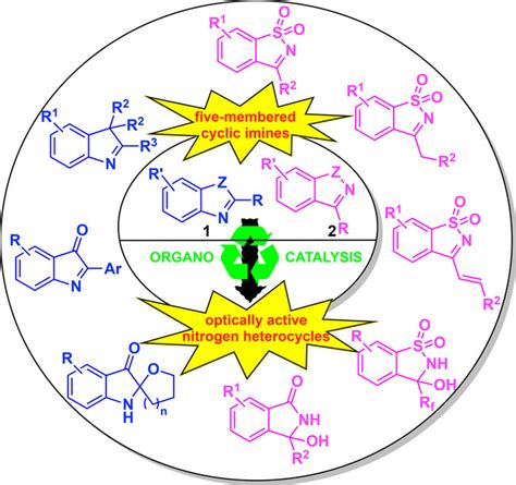 Organocatalytic Asymmetric Transformations Involving The Cyclic Imine