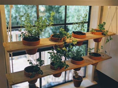 Practical Indoor Window Shelf Ideas For Plants