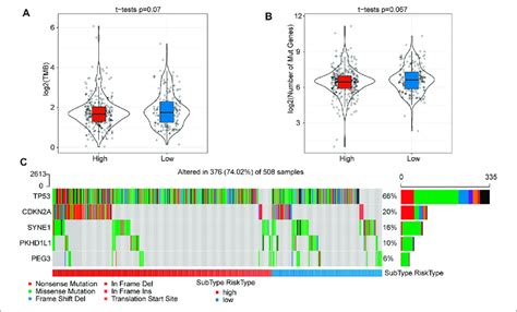 The Tmb And Somatic Mutation Information Between High And Low Risk Download Scientific