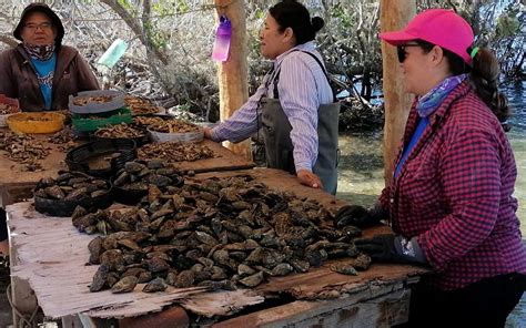 Apoya Sepada a mujeres del sector acuícola y pesquero El