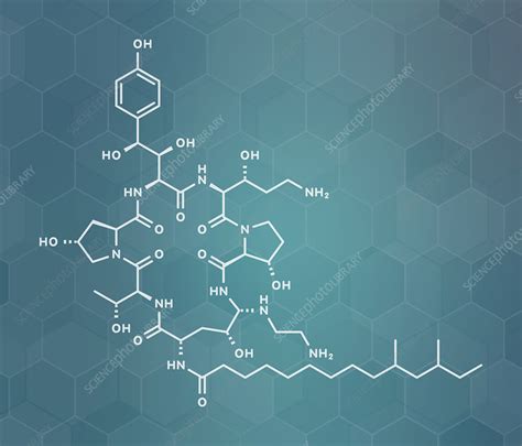 Caspofungin Antifungal Drug Molecular Model Stock Image F0251796 Science Photo Library