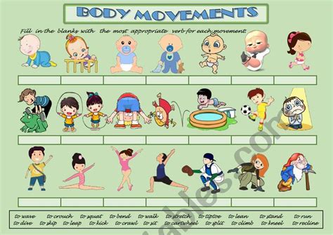 Movement Of The Body Worksheet