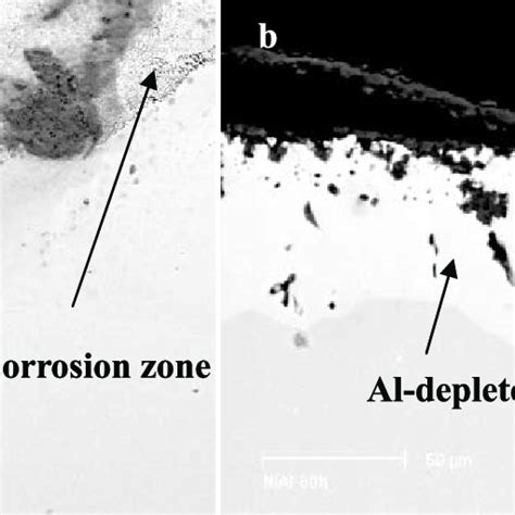 Cross Sectional Morphologies Of NiAl After Corrosion In Molten Na K 2