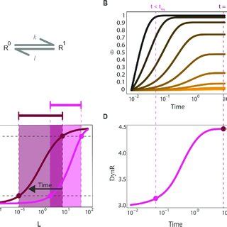 The Dose Response Curve Evolves In Time A Scheme Representing A