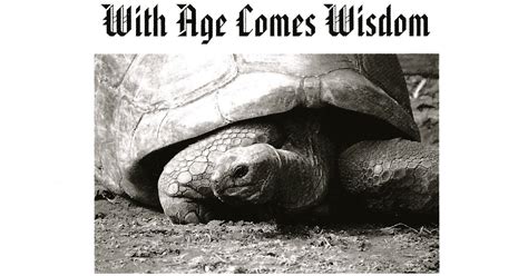 Adwaita Tortoise Carbon Dating – Telegraph