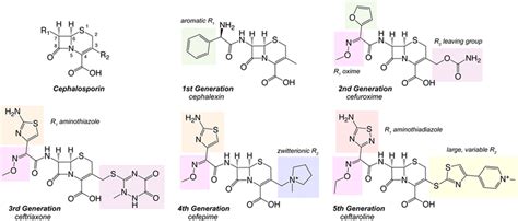 Generations Of Cephalosporin Antimicrobials Representative Structures