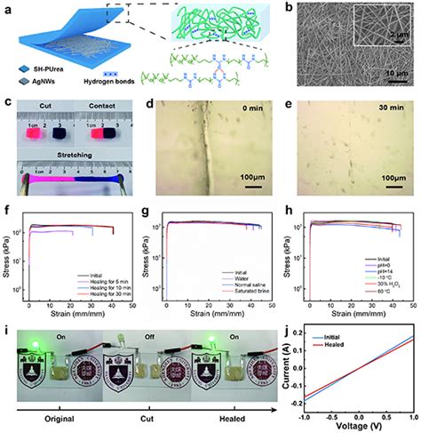 南大李承辉深大黄龙彪、钟爱华《nano Energy》：可在多种极端环境下自修复的柔性自供能传感器中国聚合物网科教新闻