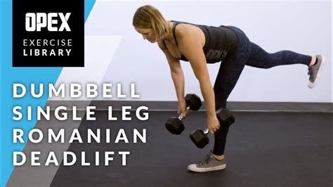 Single Leg Romanian Deadlift (Dumbbell) How To Instructions, Proper Exercise Form And Tips Hevy ...