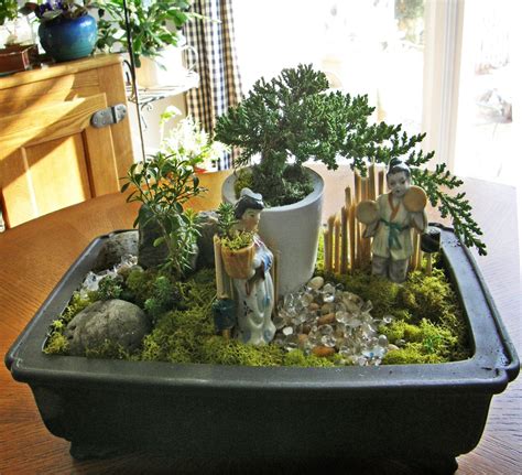 How To Create A Bonsai Dish Garden - Bonsai Tree Gardener