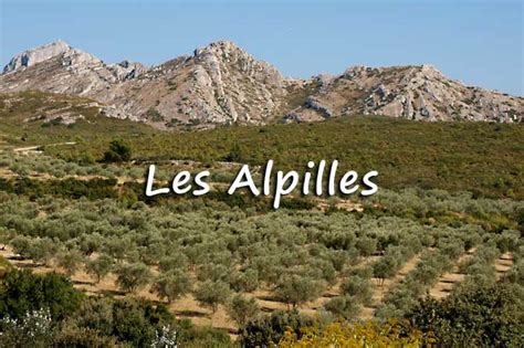 Alpilles Visiter Provence