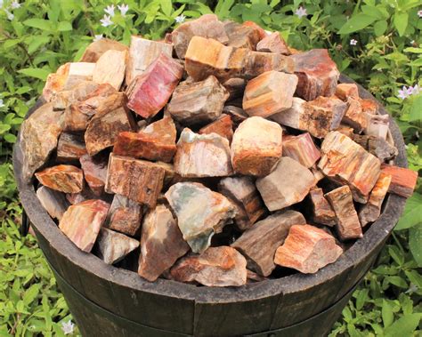 Raw Petrified Wood Choose 4 Oz 8 Oz 1 Lb Or 2 Lb Loose Bulk Etsy