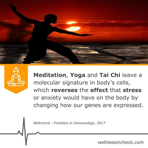 Mindfulness Meditation For Anxiety - Health and Wellness Tips