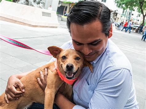 Jornada de adopción de perros se realizará este sábado en Parque