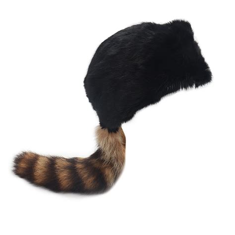 Pioneer Raccoon Hat Clipart