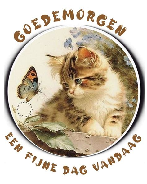 Pin By Janny L Cats On Allerlei Dagen Plaatjes