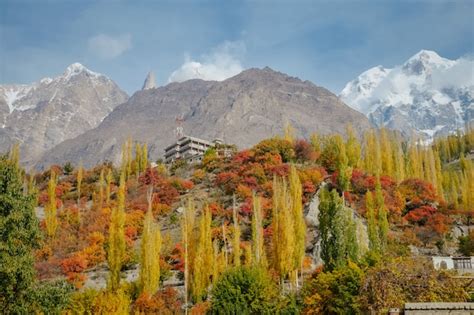 Pine Tree Bridge In Autumn And Mountain In Leh Ladakh India Free Photo