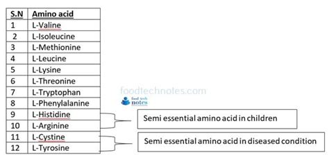 Protein And Amino Acids Food Tech Notes