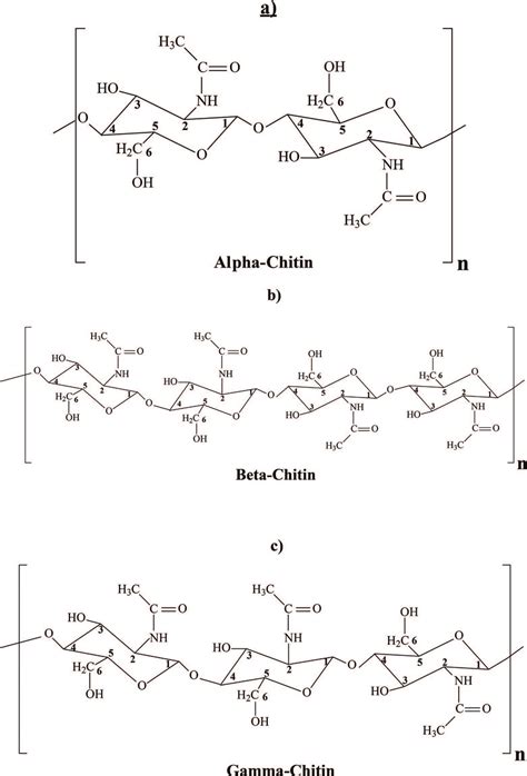 (a-c) Molecular structures of α-chitin (a), β-chitin (b), and γ-chitin ...