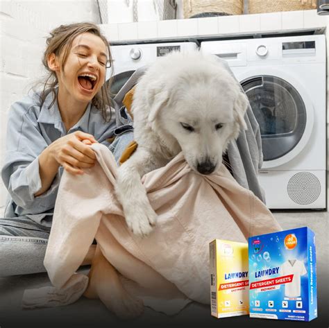 Laundry Detergent Sheets | 40 Loads | Easy to Use, No Plastic Jug | New ...