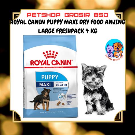 Jual Royal Canin Puppy Maxi 4kg Anjing 26 44 Kg Rc Dog Junior 4 Kg