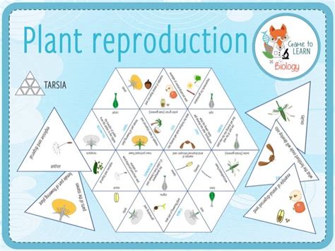 Plant Reproduction Tarsia KS3 Teaching Resources