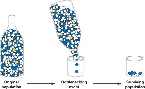 Bottleneck Html 23 08BottleneckEffecLA