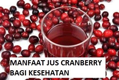 Manfaat Buah Cranberry Bagi Kesehatan Mudjoko