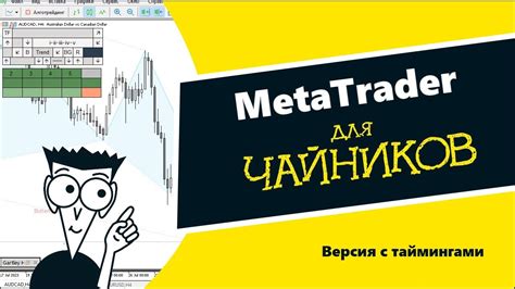 Metatrader 5 для чайников Аналитика трейдинг и хитрости YouTube