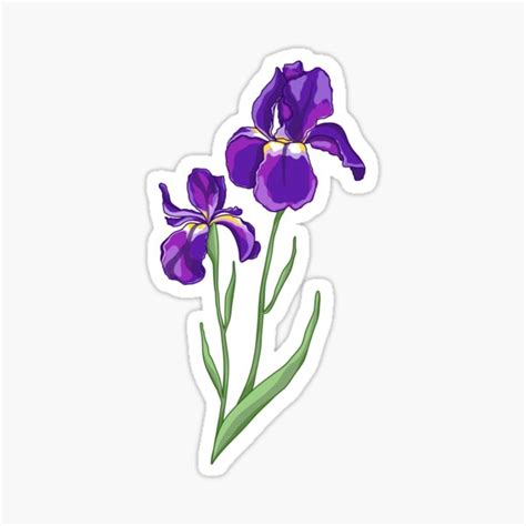 Purple Iris Sticker For Sale By Madmoynihan Redbubble