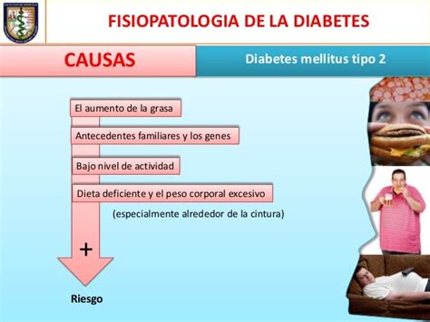 Fisiopatologia De La Diabetes Mellitus Tipo 2