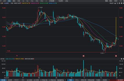 兴业银行601166股价走势和k线图分析预测 202412