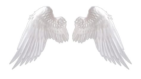 Angel Wings Free Clipart Images Angel Wings Transparent Background Free ...