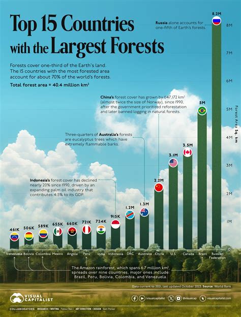 Which Countries Have The Largest Forests R Infographics