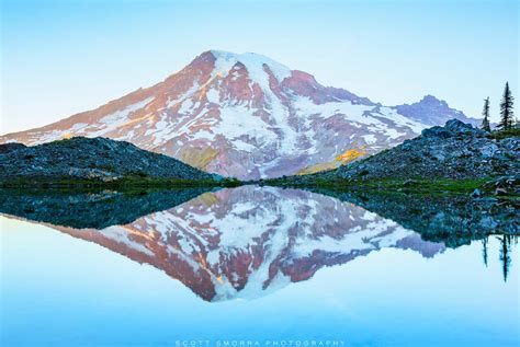 Mimicry Mt Rainier National Park Washington Cascade Range Scott Smorra