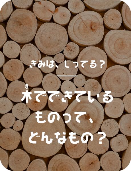 木材で作られた物の検索結果 Yahooきっず検索