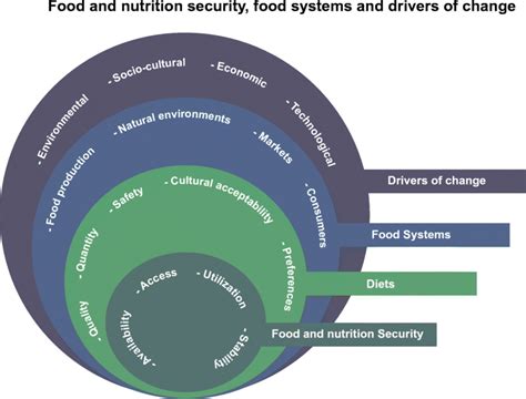 Conceptual Model Of The Links Between Food And Nutrition Security