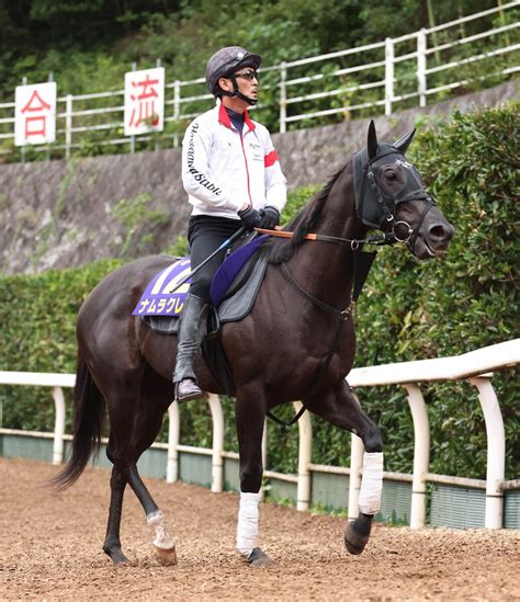 【スプリンターズs】3歳馬ナムラクレア好ムード 長谷川調教師「能力をしっかり出していければ」 Umatoku 馬トク