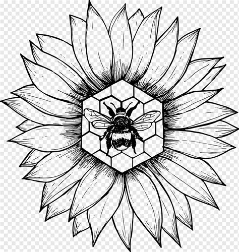 Floral Design Drawing Monochrome Design Leaf Monochrome Symmetry