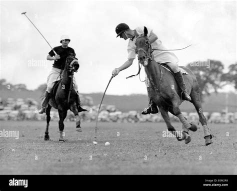 Polo horse Black and White Stock Photos & Images - Alamy