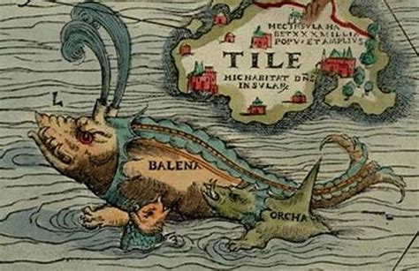 Mapping The Menacing Sea Monsters In Medieval And Renaissance