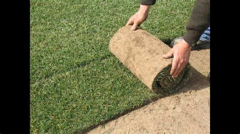 Cómo Instalar Mantener Y Cuidar Los Diferentes Tipos De Césped Tvagro Por Juan Gonzalo Angel