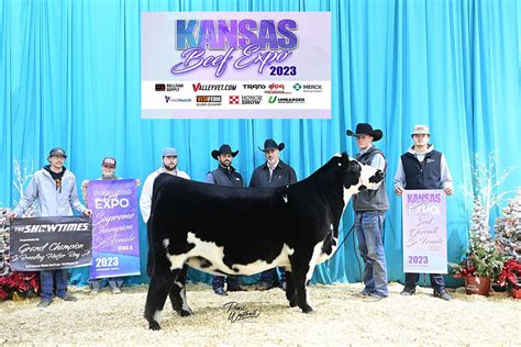 2023 Kansas Beef Expo || Senior Heifer Show || Shows and Fairs || pearlspics.com