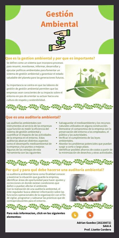 Infografía Gestión Ambiental Adrian Guedez