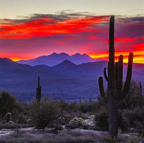 Regrann From Arizonaisgorgeous Incredible Sunrise Over Four Peaks