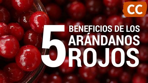 Beneficios De Los Ar Ndanos Rojos Ciencia De La Comida Youtube