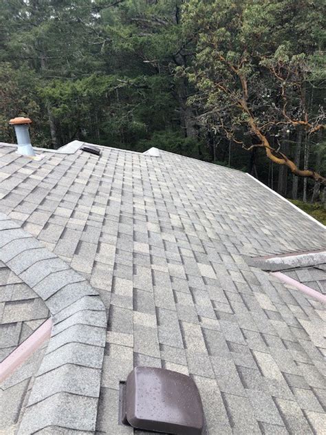 Summer Roofing Maintenance Tips Victoria Roofers