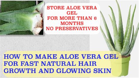 How To Make Aloe Vera Gel And Store It For Months Without Preservatives Naturalhair Skincare