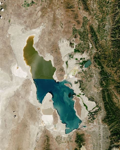 Opinion I Am Haunted By What I Have Seen At Great Salt Lake The New