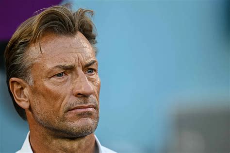 Cela Ne Sert à Rien De Me Chercher Hervé Renard Répond Sèchement Aux